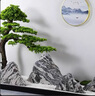 晟煦雪浪石切片組合室內(nèi)枯山水造景天然泰山石庭院中式室外假山景觀石 1號套餐適合長度1.2米-2米 曬單實(shí)拍圖