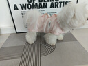 嬉皮狗（hipidog）寵物春夏季狗狗中小型犬簡約時尚布標(biāo)可裁剪款包肚衣貓咪四腳衣服 奧麗粉 S （建議體重3-5斤） 曬單實(shí)拍圖