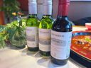 拉菲【旗艦店】巴斯克赤霞珠紅&長相思白&霞多麗白 巴斯克187ml*3支*2禮盒裝 曬單實(shí)拍圖