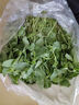 【葉鮮生】荊芥菜新鮮當天現摘現發(fā)河南荊菜大葉農家自種蔬菜整箱 1斤 帶根鮮荊芥 曬單實(shí)拍圖