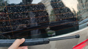 澳冶大眾高爾夫6/7/高爾夫嘉旅后窗雨刮器原車尺寸A級(jí)膠條后雨刷280mm 曬單實(shí)拍圖