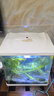 森森（SUNSUN）魚缸HR原廠標(biāo)配水泵led燈HE水泵配件 HR-300標(biāo)配led燈 曬單實拍圖