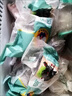 集鮮源小魷魚須速凍魷魚頭魷魚爪凈重無冰八爪須燒烤鐵板食材魷魚新鮮 2斤裝【嘗鮮試吃】 1000g(凈重) 曬單實拍圖