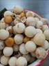 2024年頭窩甲魚蛋新鮮食用寶寶輔食農(nóng)家原生態(tài)新鮮農(nóng)場(chǎng)直供高蛋白 3g 1人份 甲魚蛋100枚裝（送二十枚防破損） 曬單實(shí)拍圖