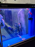 森森超白魚(yú)缸水族箱客廳大型底濾專(zhuān)業(yè)龍魚(yú)缸智能生態(tài)懶人魚(yú)缸 經(jīng)典黑 （高缸矮柜）ID屏風(fēng)款100長(cháng)x43寬x152高 曬單實(shí)拍圖