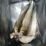龍覘路亞假餌高仿真蒼蠅魚鉤飛蠅鉤翹嘴白條黑魚草魚 32只四色蒼蠅單鉤盒裝 8號大鉤(半斤-8斤) 曬單實拍圖