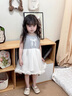 班喜迪女童連衣裙夏裝2025新款洋氣網(wǎng)紗裙子女寶寶公主裙夏季兒童背心裙 灰色 100 曬單實(shí)拍圖