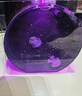 月光水母SmartF迷你桌面水母缸魚缸生態(tài)發(fā)光水母瓶七彩遙控變色兒童節(jié)禮品 空缸 曬單實(shí)拍圖