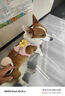 TOUCHDOG它它幻彩太陽(yáng)花狗胸背衣?tīng)恳K背帶遛狗中小迷你茶杯犬 粉色胸背 L碼【建議16-35斤】 曬單實(shí)拍圖