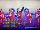 2025新流行廣場(chǎng)舞視頻歌曲U盤(pán)中青年人跳舞教學(xué)優(yōu)盤(pán)支持USB正版 全新流行廣場(chǎng)舞 流行廣場(chǎng)舞視頻970部+廣場(chǎng)舞歌曲 曬單實(shí)拍圖