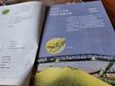 【新華書店正版】適用2025新版  高中化學必修第二冊化學書課本人教版高一下冊化學書教材必修二2化學書高中必修二化學教科書人教版 人民教育出版社 高中化學必修第二冊 曬單實拍圖