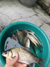 魚竿油護(hù)竿油護(hù)桿油擦桿油魚竿保養(yǎng)蠟釣魚桿專用保護(hù)油套裝小配件 護(hù)竿油 曬單實拍圖