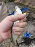 熊火熊火釣魚傘2.2m雙層遮陽防雨風(fēng)加厚黑膠釣傘可調(diào)節(jié)戶外沙灘傘 曬單實(shí)拍圖