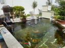 森態(tài)自動(dòng)庭院魚池過濾系統(tǒng)室外魚池過濾器裝置戶外大型魚池水循環(huán)系統(tǒng) ST-20T 一體式全自動(dòng)過濾器適合20-30噸水 曬單實(shí)拍圖