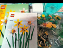 樂高（LEGO）積木拼裝玩具 節(jié)日限定系列 40648金錢樹 9歲+ 生日禮物 曬單實(shí)拍圖