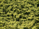 來兮?Eureka星空泳池山頂咖啡溫泉親子度假美宿(安吉云上草原高山旅游度假區(qū)店) 房間 曬單實(shí)拍圖