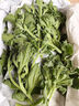 辰實(shí)【發(fā)順豐】山東冰草 新鮮冰菜 水晶花冰葉 火鍋即食生吃沙拉菜 5斤新鮮冰草（劃算） 曬單實(shí)拍圖
