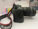佳能（Canon） r6二代 全畫幅微單相機(jī) EOS R6 Mark II 4K數(shù)碼高清旅游vlog攝影機(jī)身 r62二代相機(jī) 專業(yè)級(jí)微單 R6二代+24-105STM鏡頭套機(jī) 套餐一【多種濾鏡+下單/ 曬單實(shí)拍圖