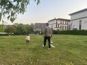 苒琦媽咪孕婦春秋裝2025新款套裝時尚法式連衣裙秋冬季背帶裙子秋款兩件套 背帶裙+黑色上衣（兩件套） L 曬單實拍圖
