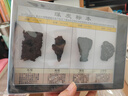 地理標(biāo)本 土壤剖面天然巖石礦物化石煤炭石油金屬礦物 煤炭 規(guī)格：21*15*3 曬單實拍圖