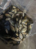 久巖秋田狐魚(yú)鉤極細條溪流鉤子線(xiàn)雙鉤成品綁好日本倒刺釣魚(yú)鉤 35cm秋田狐有刺【鉤1線(xiàn)0.4】 曬單實(shí)拍圖