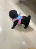 田諾寵物用品貓狗牽引繩泰迪博美小型犬貓咪狗繩子幼犬遛狗繩狗鏈背帶 隨機顏色 小號：繩寬1cm(2-6斤) 曬單實(shí)拍圖