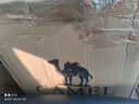 CAMEL戶(hù)外野營(yíng)車(chē)推車(chē)露營(yíng)搬運折疊便攜野餐營(yíng)地車(chē)買(mǎi)菜車(chē)溜娃車(chē)遛狗車(chē) 曬單實(shí)拍圖