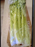 聽蔬有機芹菜1斤小香芹 水果芹菜新鮮蔬菜有機認證 孕媽寶寶放心食材 1斤 曬單實拍圖
