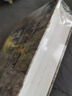 陳修園醫(yī)學(xué)全書（第二2版）（明清名醫(yī)全書大成）中國中醫(yī)藥出版社 醫(yī)學(xué)實在易 醫(yī)學(xué)從眾錄 女科要旨 神農(nóng)本草經(jīng)讀 曬單實拍圖