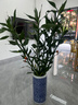 臨雅大型富貴竹水培植物客廳水養(yǎng)大號(hào)盆栽節(jié)節(jié)高粗桿室內(nèi)好養(yǎng)活綠植物 富貴竹1.5m【10支帶根】 曬單實(shí)拍圖