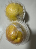 香凝山西隰縣玉露香梨 臨汾館隰縣玉露香梨多規(guī)格 9顆特大果裝（隰縣國(guó)風(fēng)彩繪箱） 9斤 曬單實(shí)拍圖