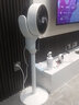 揚子空氣循環(huán)扇家用電風(fēng)扇落地扇客廳臺立兩用搖頭輕音低噪節能立式電扇大風(fēng)量臺式桌面電扇空調伴侶 【遙控語(yǔ)音款+八字搖頭款】米白色 320*320*1000mm 曬單實(shí)拍圖