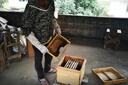 【不傷蜂】巢蟲清噴劑一噴凈木片中蜂專用膏蜜蜂棉蟲藥滅殺白頭蛹 單瓶【推薦多瓶裝】 曬單實拍圖
