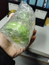 ECO BANDAOEco啫喱發(fā)膠Eco Hair Styler Styling olive oil Gel定型造型凝膠 橄欖味造型凝膠green/236ml 曬單實(shí)拍圖