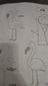 【單本任選】?jì)和?jiǎn)筆畫(huà)線(xiàn)描涂色本 萌趣可愛(ài)插畫(huà)人物動(dòng)物植物美食生活用品交通建筑多種主題 控筆線(xiàn)描繪畫(huà)本零基礎涂色漫畫(huà)畫(huà)本 動(dòng)物植物 曬單實(shí)拍圖