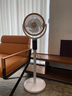 小米寶寶白色循環(huán)扇空氣循環(huán)扇家用靜音小臺式落地電風(fēng)扇 3D搖頭機械版 曬單實(shí)拍圖