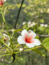 旺昌景德鎮(zhèn)正宗陶瓷盤子套裝創(chuàng)意簡(jiǎn)約圓深盤子6只裝家用餐盤碟子餐具 清雅黑線8英寸圓深盤10個(gè) 曬單實(shí)拍圖