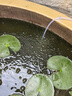 松寶松寶SOBO氧氣泵低音魚(yú)缸增氧泵氣量大養魚(yú)增氧機魚(yú)池家用220v電壓 【雙孔】不銹鋼雙孔8瓦+全套氣餅套餐 曬單實(shí)拍圖