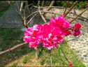 彩族（CAIZU）4K高清取代ccd學(xué)生數(shù)碼相機(jī)高像素可傳手機(jī)校園4800萬像素照相機(jī)前后雙攝美顏濾鏡七夕情人節(jié)禮物 【Z102S|皓月白】 64G內(nèi)存卡 曬單實(shí)拍圖