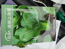 壽禾 上海青油菜種子秋冬季蔬菜菜籽 濰豐高柳上海青種子25g 曬單實(shí)拍圖