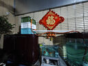柏卡樂(lè )周轉箱過(guò)濾箱魚(yú)缸魚(yú)池過(guò)濾器滴流盒上置過(guò)濾器增氧培菌凈水濾桶 加高大號3層+基礎過(guò)濾+水泵 曬單實(shí)拍圖