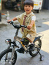 PHILLIPS兒童自行車3-6-10歲男女童小孩單車雙碟剎山地車中大童學(xué)生自行車 【帶腳撐】98%免裝-輻條版+后座 16寸(建議身高100-115cm) 曬單實(shí)拍圖