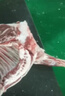 羊家旺寧夏灘羊肉整半只10斤新鮮現(xiàn)殺羔羊整半只端午禮盒源頭直發(fā) 曬單實拍圖