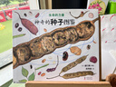 神奇的種子圖鑒(精)/生命的力量 曬單實(shí)拍圖