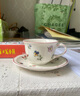 唯寶（Villeroy Boch）德國進口歐式咖啡杯碟套裝家用茶杯具簡約小花園茶杯碟200ml 曬單實拍圖