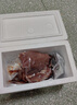新鮮多肉豬龍骨燉湯食材豬脊骨大骨頭豬骨煲湯生鮮食材 豬龍骨1斤 曬單實(shí)拍圖