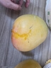 鑫果滋【順豐】海南澳芒 三亞熱帶水果當季新鮮黃青皮凱特澳芒芒果 特大果（單果1斤以上）【青皮澳芒】 8斤 曬單實拍圖