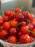 迭果四川櫻桃攀枝花米易小櫻桃恩特兒小櫻珠新鮮水果國產(chǎn)車(chē)厘子恩桃 1000g(凈重) 土櫻桃 曬單實(shí)拍圖