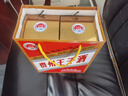 百鳴泉貴州王子酒 53度醬香型白酒 名酒結(jié)婚婚宴整箱口糧酒平價(jià)純糧食酒 53度 500mL 6瓶 紅王子整箱裝 曬單實(shí)拍圖