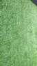 COOLGRASS仿真草坪假草坪人造草坪戶外庭院陽臺(tái)屋頂別墅庭院戶外地毯草皮 2cm特密（2米寬）拍幾件發(fā)幾米 曬單實(shí)拍圖